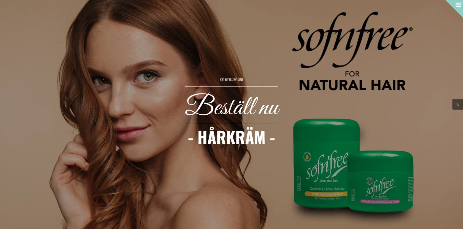 Web projekat SofnFree